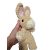 Bunny - Mini Sleeping Buddy